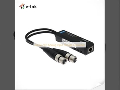 Dante 2Ch Αναλογικός μετατροπέας Dongle εισόδου